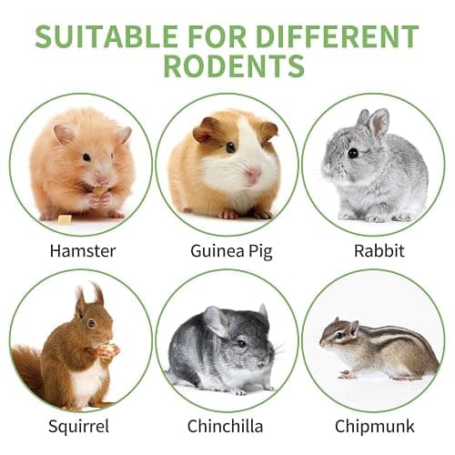 50-60 PCS Natural Rabbit Chew Toys, Treats, Timothy Sticks, Apple Sticks, Sweet Bamboo for Guinea Pig, Hamster, Chinchilla, Rat, Small Animals thumbnail 8