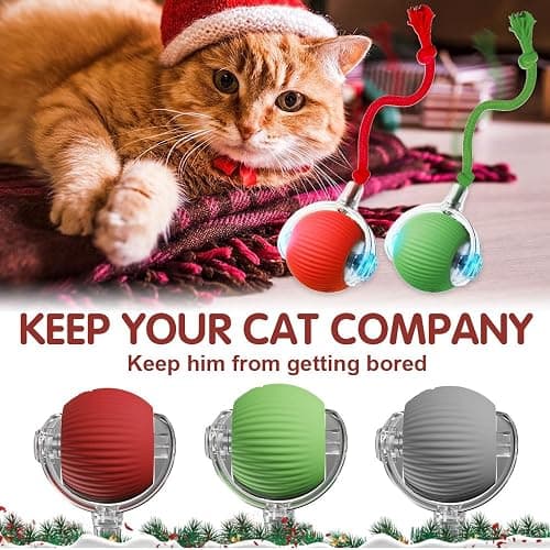 QITELL 2026 New Interactive Cat Toys for Indoor Cats, Kitten Toys to Relieve Boredom for Indoor Cats (Red) thumbnail 7