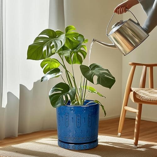 Eightpot Plant Pot Saucer - 11.4 Inch Plant Saucer for Outdoors Ceramic Plant Tray for Indoors No Holes Large Plant Drip Trays Round Flower Pot Saucer Plant Dishes to Catch Water Blue thumbnail 2
