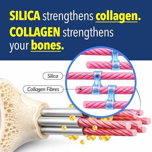 LABO Nutrition Bioactive Silica — 99% Purity Rice-Derived Silica-Rx99 for Bone Health, Joint Flexibility & Collagen Support — with Plant Vitamin D3, K2 MK-7 & MCT Oil, 30 Vegan Softgels thumbnail 8