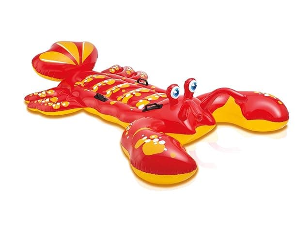 INTEX Inflatable Pool Float: Pool Toy for Kids - Image 1