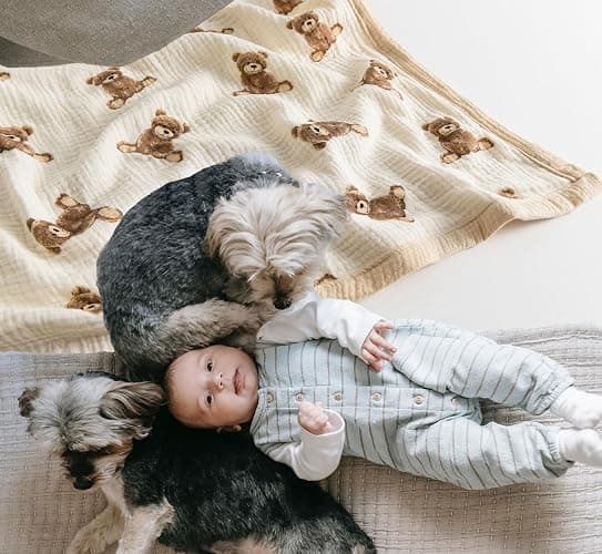 Little Jump 2 Layers Muslin Cotton Baby Blankets - Teddy Bear Toddler Quilt Crib Blanket - Gender Neutral Crib Blanket for Baby Boys and Girls 47"x 47" (Teddy Bears) thumbnail 4