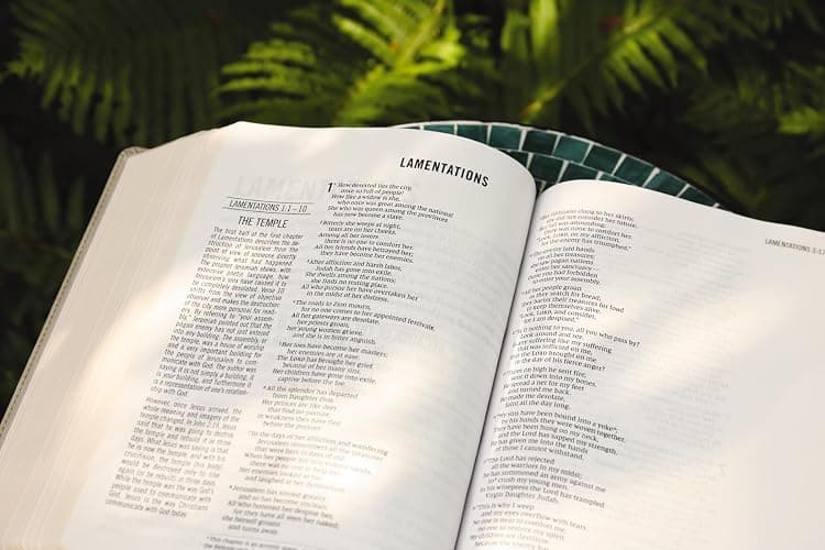 The Jesus Bible, NIV Edition, Leathersoft, Stone, Comfort Print thumbnail 10