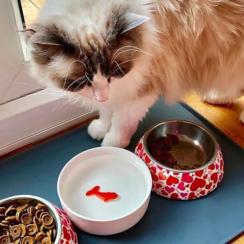Suck UK Cat Bowls - Fish Bowl - Cat Water Bowl - Funny Animal Accessories - Ceramic Dish - Novelty Pet Supplies - Pets Prank Gift - Animal Owner Gifts - 3D Hand Painted Goldfish - Pet Humor - White thumbnail 5