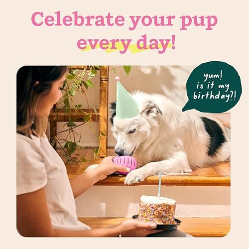WOOF Party Pupsicle - Long-Lasting Interactive Dog Toys for Boredom - Low-Mess Design - Birthday Gifts for Dogs - Large Dog Toys - Party Pink thumbnail 3
