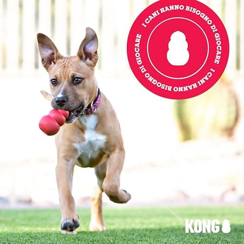 Kong thumbnail 8