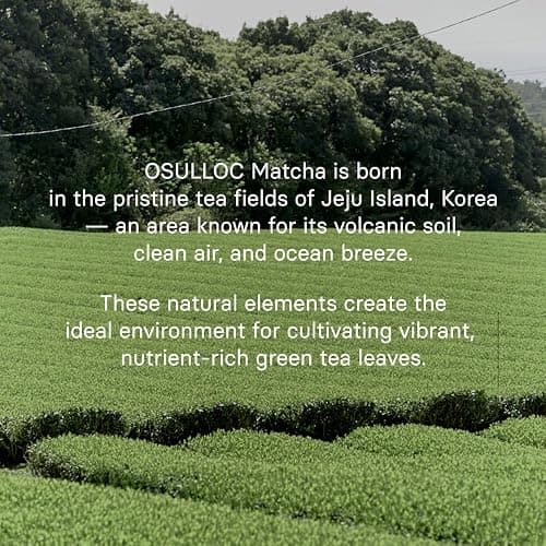 OSULLOC Volcanic Isle Ceremonial Grade Korean Matcha Powder, 40 g | Ceremonial Korean green tea powder from Jeju’s volcanic fields, with smooth umami taste for lattes, shots, and tea rituals thumbnail 5