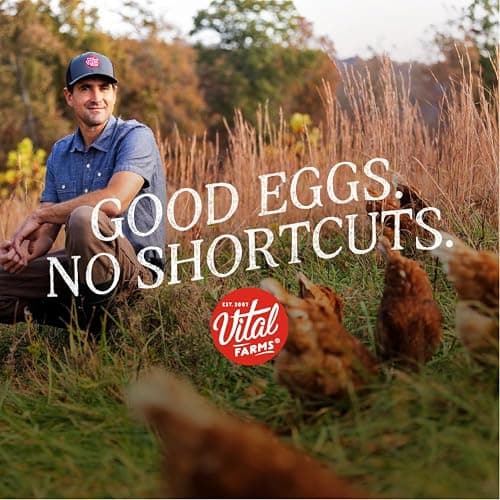 Vital Farms Pasture-Raised Large Eggs 6ct thumbnail 4
