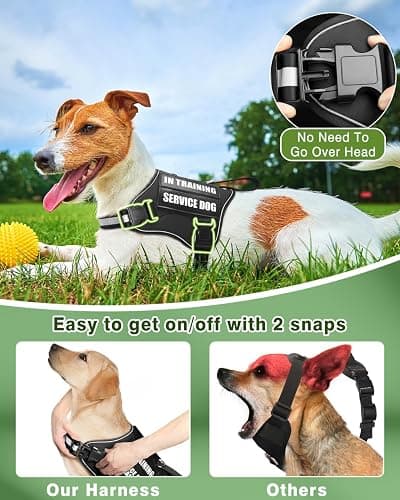 MOOGROU Service Dog Vest Harness and Leash Set+10 Patches for Puppy Small Dogs,Do Not Pet Emotional Support Dog Vest with 2 Soft Padded Handle for Everyday/Training (Black XS) | Adjustable Reflective Do Not Pet Emotional Support Dog Vest with 2 Soft Padded Handle,MOLLE,for Everyday Training Hiking thumbnail 3