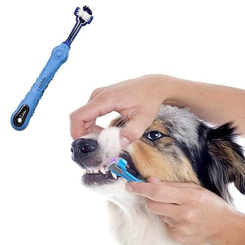 (4 pack) Orgrimmar 3-sided dog toothbrushes thumbnail 4
