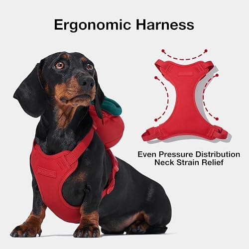 VETRESKA Strawberry Dog Harness and Leash Set, No Pull Dog Vest Harness for Small Dogs Cats, Walking and Training, Adjustable, Easy Control and Soft Padded Pet Harness and Backpack (XS) thumbnail 6