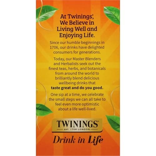 Twinings Winter Tea Collection, Limited Edition Holiday Gift Box, 20 Count (Pack of 3), Includes Christmas Tea, Winter Spice, and Gingerbread Joy, Enjoy Hot or Iced, 60 Teabags thumbnail 7