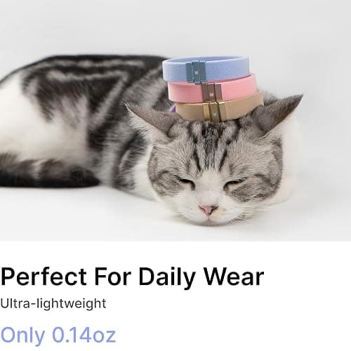 BuddyArmor Safety Cat Collar - U.S. IDA Gold Awarding Design, Stretch Elastic Quick Release, Non Breakaway - Light Weight for Kitten, Neck Fit 7.8'-15.7' for All Small Large Cat,M(Glacier Silver) thumbnail 5