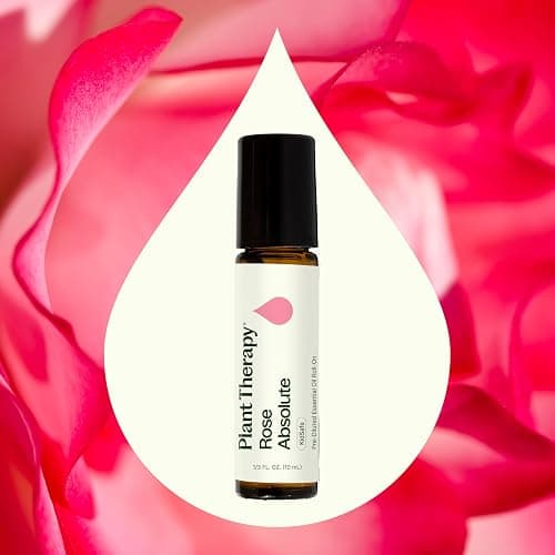 Plant Therapy Rose Absolute Pre-Diluted Essential Oil Perfume Roll-On 10 mL (1/3 oz) 100% Pure, Natural Aromatherapy, Therapeutic Grade thumbnail 3