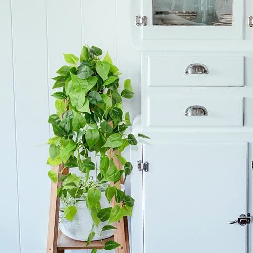 LOYWREE 35.4in Artificial Plants in Black Pot Realistic Fake Hanging Potted Greenery with Faux Ivy Vine & Pothos - Ideal for Shelf, Home, Office, Indoor & Outdoor Garden Decor thumbnail 6
