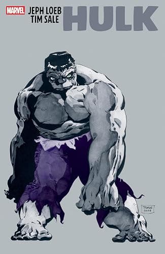 Jeph Loeb & Tim Sale: Hulk - Image 1