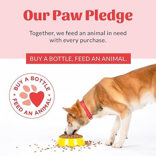 Skout's Honor Super Sour! Anti Chew Spray - Natural Ultra Bitter Formula to Help Deter that unwanted Chewing, Licking, and Biting - Safe for Pets - Safe for Indoor and Outdoor Use, 8 oz thumbnail 9