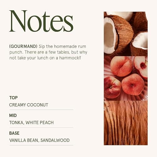 LA JOLIE MUSE Christmas Candle - Island Coconut Scented Candle | Coconut, Peach & Vanilla | 6 oz Luxury Soy Candle | 40 Hours Clean Burn| Holiday Gift for Women | Elegant Home Décor thumbnail 4