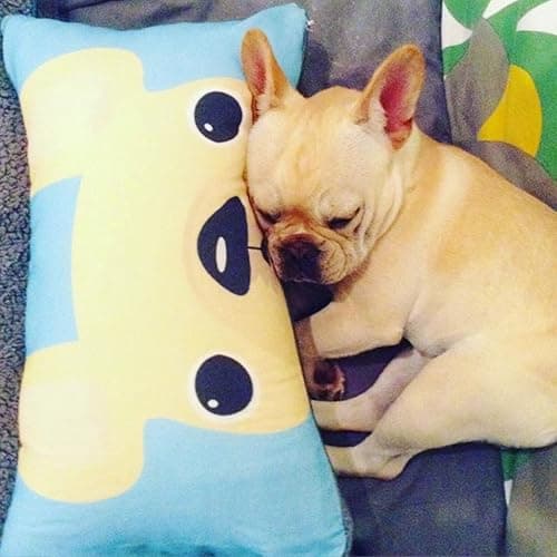 Shop&Three Custom Design Photos or Text Outdoor/Indoor Throw Pillowcase,Personalized Pet Photo Pillow, Love Photo Throw Pillowcases, Wedding Keepsake Throw Pillow Covers 20" x 20" thumbnail 2