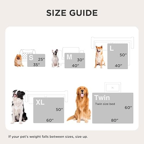 Bedsure Dog Blanket for Small Dogs Washable - Fluffy Fuzzy Puppy Cat Blanket with Premium 300GSM Coral Fleece Soft for Pet Kitten Doggy, Green, 25x35IN thumbnail 7
