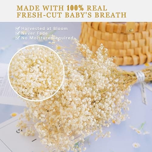 beerfingo 3000+ Dried-Babys-Breath-Bouquet-17.2 inch Dried Flowers, Natural Gypsophila Branches for Home Decor, Wedding, Table Decor, DIY Wreath Floral, Dry Flowers Bulk for Vase (Off White) thumbnail 3