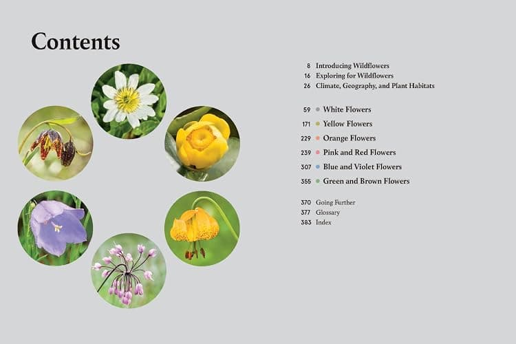 Western Washington and Oregon in Bloom: Find and Identify the 150 Most Common Wildflowers thumbnail 3