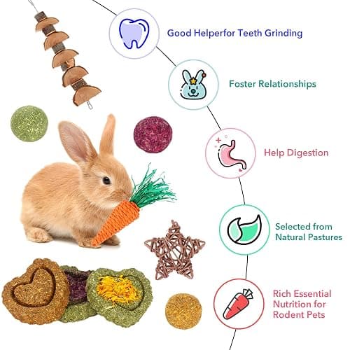 Petawi 45PCS Rabbit Guinea Pig Hamster Toys, Chinchilla Bunny Chew Toys for Teeth Apple Wood Timothy Hay Bamboo Sticks, Carrot Treats Balls for Rabbit Bunny Chinchilla Guinea Pig Hamster Rat thumbnail 2