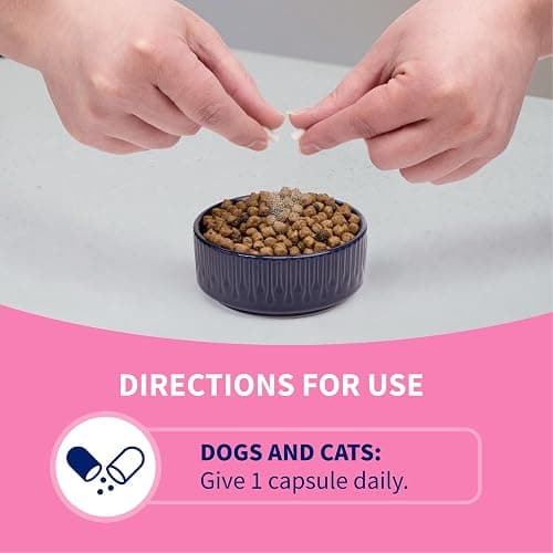 Nutramax Proviable Probiotics + Prebiotics, for Dogs & Cats, Capsules, 80ct | Probiotics and Prebiotics for Cats and Dogs, Daily Gut Health Support Supplement, Multiple Strains, Sprinkle on Food thumbnail 5