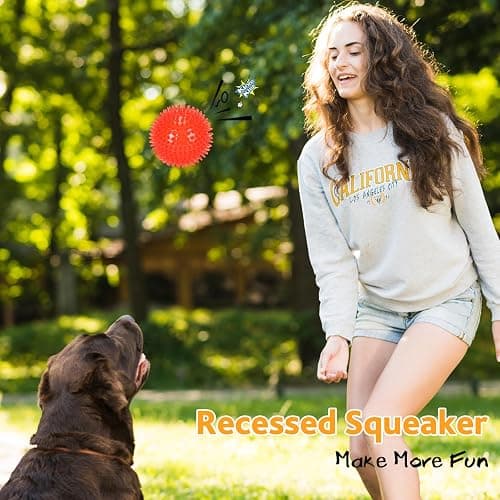 petizer 6 Pack 2.5” Squeaky Dog Toy Balls, Floating Dogs Pool Balls, Spiky Dog Balls, Durable Interactive Fetch Toys for Puppy, Dog Chew Toys for Teething (2.5", Small Dog) thumbnail 5
