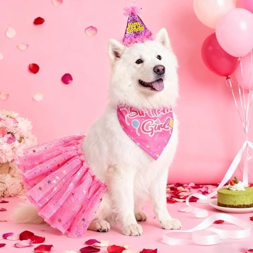 SCENEREAL Dog Birthday Bandana with Hat and Dress Girl Set, Large Dog Birthday Party Supplies, Cute Tutu Skirt Outfit for Medium Big Dogs, Rose Red XL thumbnail 2