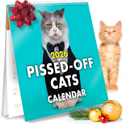 The Original P'd Off Cats 2026 Calendar - Funny, Sassy Gift for Angry Cat Lovers - 12 Month Wall Planner for Joke Present - Image 1