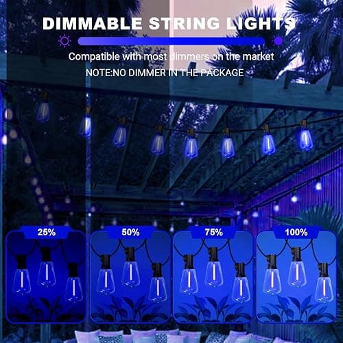 LAMPHOME 26Ft ST38 Outdoor String Lights, Blue Patio Lights with 12+1 ST38 Edison Bulbs, LED Shatterproof String Lights for Outside Bistro Christmas Patio Party Decorations thumbnail 5