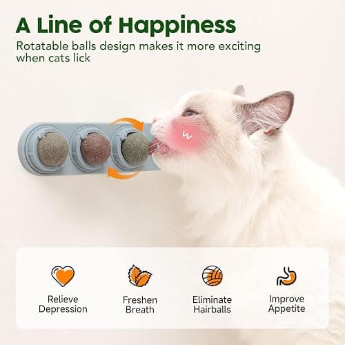Potaroma 4 Catnip Silvervine Ball Toys, Extra Cat Energy Ball, Edible Cats Lick Kitten Chew, Teeth Cleaning Dental Wall Treats, Concentrated Flavor for All Breeds thumbnail 3