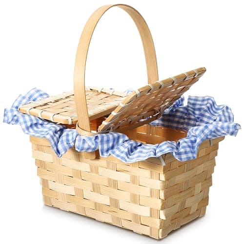 Teenyyou Mini Picnic Basket, Costume Accessory, Small Gingham Picnic Hamper for Halloween Women Costume Cosplay Accessory Hooded Cape Masquerade Dress up(Blue and White) - Image 1