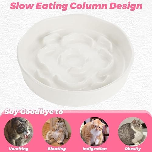 Ghligna 4Pcs Ceramic Cat Slow Food Feeder, 6 Inch Slow Feeder for Small Dogs, Cat Food Bowl for Dry Food and Wet Food, White and Pink thumbnail 4