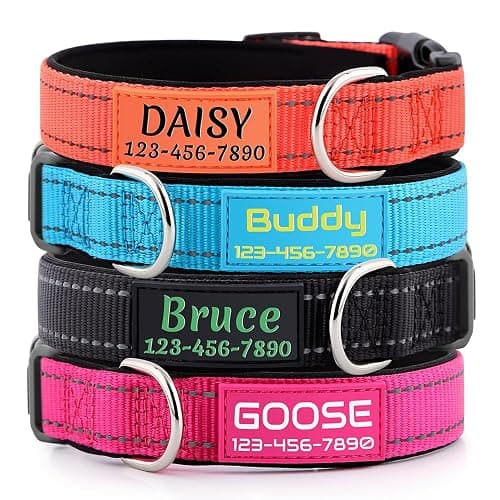 Personalized Dog Collars Custom with Pet Name and Phone Number, Soft Neoprene Padded Reflective Nylon Collar, 4 Adjustable Sizes - for Boy, Girl Dogs - Image 1