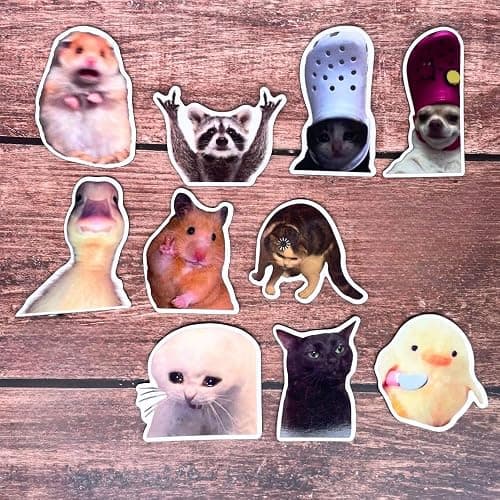 10PC Funny Meme Animals Fridge Magnets, Fun Cute Weird Magnetic Crying Cat Dog Hamster Duck Magnets for Gaming Kitchen Home Decor Bumper School Locker Work for Boys Girls Adult Accessories thumbnail 4