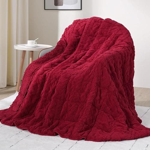Drewin Adults Weighted Blanket Queen Size 15 lbs, 3D Stylish Fluffy Jacquard Sherpa Weighted Blankets for Sofa Bed, Cozy Thick Winter Heavy Blanket for Calming, Ceramic Beads, 60 x 80 inches, Red - Image 1