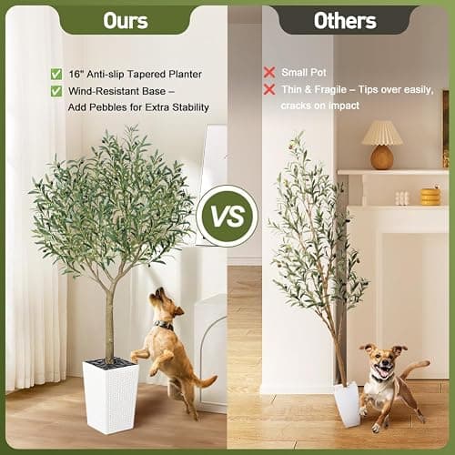 VeriNatural Artificial Olive Tree 6FT, UV Resistant Tall Fake Tree Indoor Outdoor with White Taper Planter & Pebbles – Potted Large Faux Plant for Modern Home Decor Living Room Office Patio, VN156 thumbnail 6