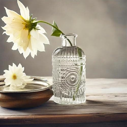 TIWPAJS Propagation Vases for Plants, Bud Vases, Small Glass Vase for Flowers, Home Decor, Table Decor, Shelf Decor, Desk Decor, Office Decor thumbnail 5