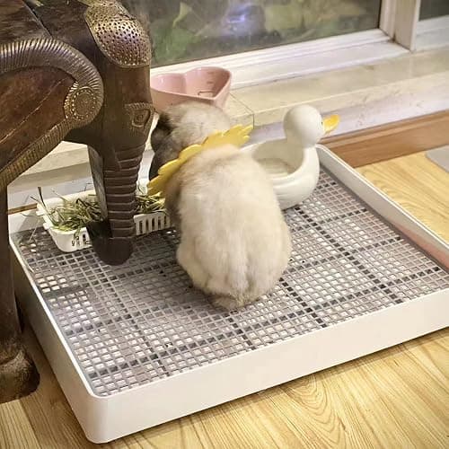 PODOO Rabbit Litter Box – Training Potty Tray for Guinea Pig & Small Pets · Spacious Grid Pan with Low Entrance, Easy-Clean & Odor-Resistant—Helps Keep a Clean Cage and Reduce Mess thumbnail 6