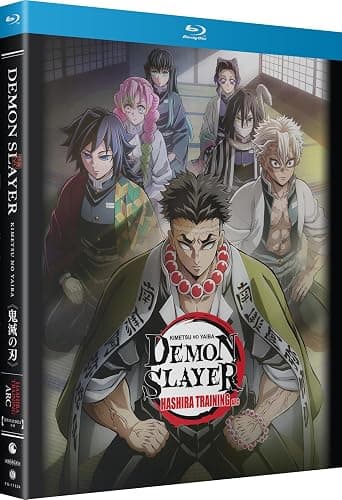 Demon Slayer: Kimetsu no Yaiba: Hashira Training Arc - Image 1