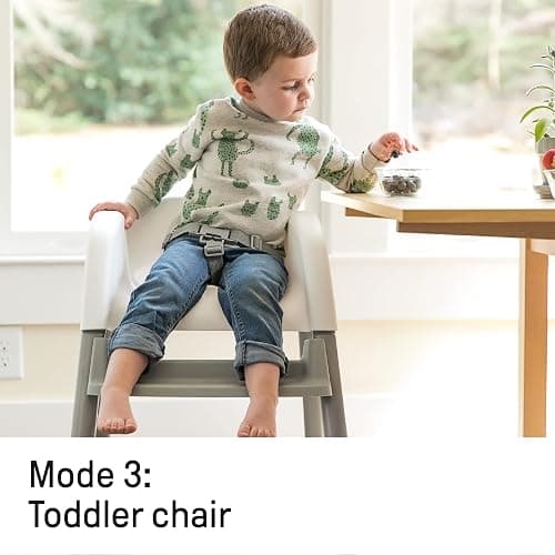 Ingenuity Trio Elite 3-in-1 High Chair, Toddler Chair, and Booster, For Ages 6 Months and Up, Unisex - Braden thumbnail 7