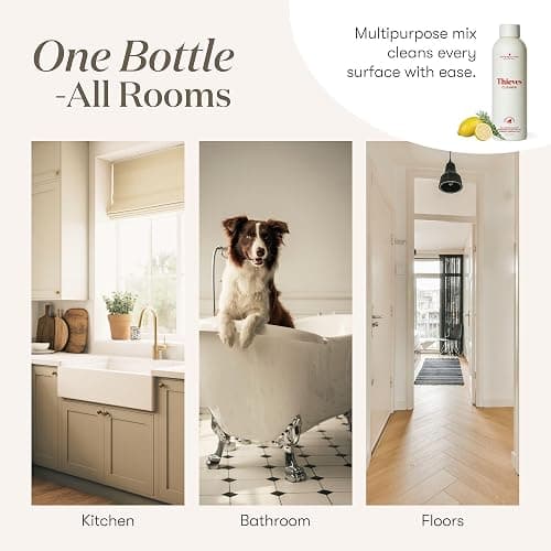 Thieves Household Cleaner | 14.4 oz | Plant-Based Multi-Surface Solution Infused with Essential Oils | Dilute for Floors, Carpets, Glass, Counters, Appliances, and General Home Cleaning thumbnail 6