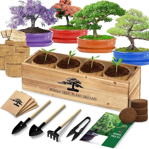 Bonsai Tree Kit, Bonsai Starter Kit with Seeds & Tools, Tree Live Plants Indoor, Gardening Gifts for Women Men Mom Father Plant Lover, Birthday Thanksgiving Christmas Gifts - Image 1