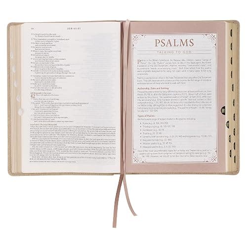The Spiritual Growth Bible, Study Bible, NLT - New Living Translation Holy Bible, Faux Leather, Pearlescent Taupe (NLT Spiritual Growth Editions) thumbnail 11