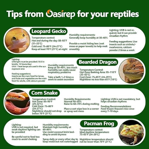Oasirep Reptile Thermometer and Hygrometer – Fast Accurate LCD Digital Temp & Humidity Meter for Bearded Dragon Tank Accessories, Lizard, Snake, Turtle, Amphibians, Small Animal Habitat thumbnail 5