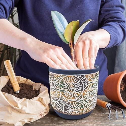 DeeCoo 3 Piece Ceramic Plant pots Indoor Pots Set with Drainage Holes, 5.7/4.7/3.5/inch, Modern Decorative pots Outdoor Plants Lilies, Cacti, Succulents, Snakes, and Bamboo (Blue) - Blue,red thumbnail 2