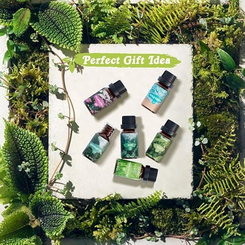 SALKING Nature Fragrance Oils, Premium Essential Oil for Diffuser, Scented Oil Gift Set for Soap Candle Making - Pine, Ocean Breeze, Rain, Fresh Cut Grass, Wildflowers, Mountain Air thumbnail 5