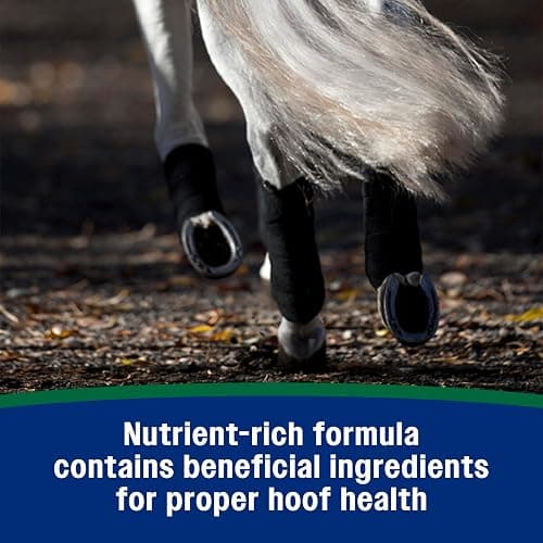 Farnam Horseshoer's Secret Pelleted Hoof Supplement for horses promotes healthy hoof growth, 11lb., 30 day supply thumbnail 7